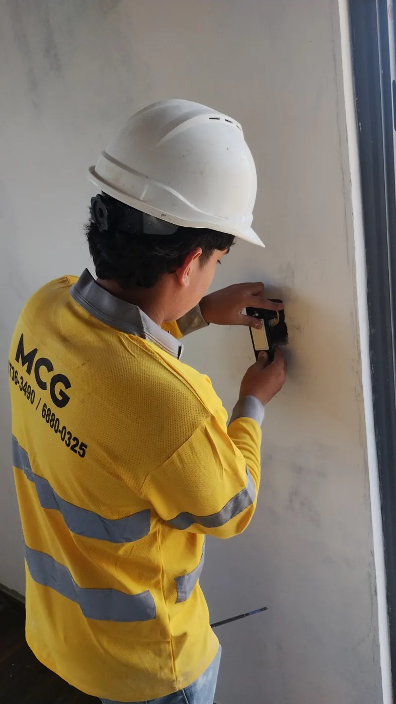 Preparación Integral de Vivienda - imagen del proyecto